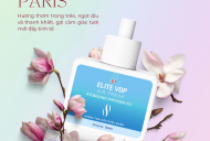 Hương tinh dầu thiên nhiên – Chạm đến cảm xúc, lan tỏa hương an lành