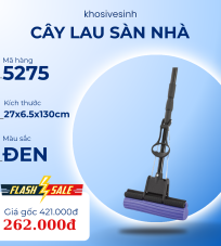 Cây lau sàn nhà 5275